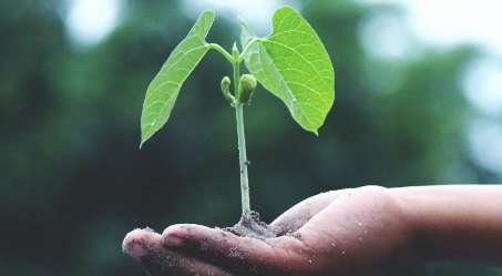 Umweltschonende Produktion von Compana Druckerzubehör