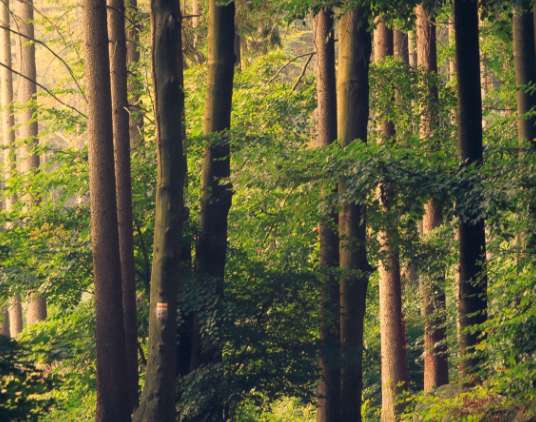 Compana 6-monatige Qualitätsgarantie für Toner und Druckerpatronen