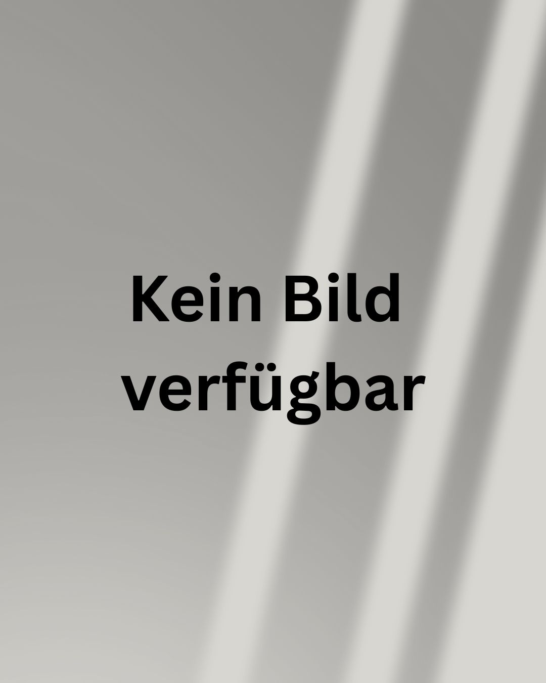 POWER ADAPTER PLUG EU H/HX+ SHINING 3D SCANNER ZUBEH